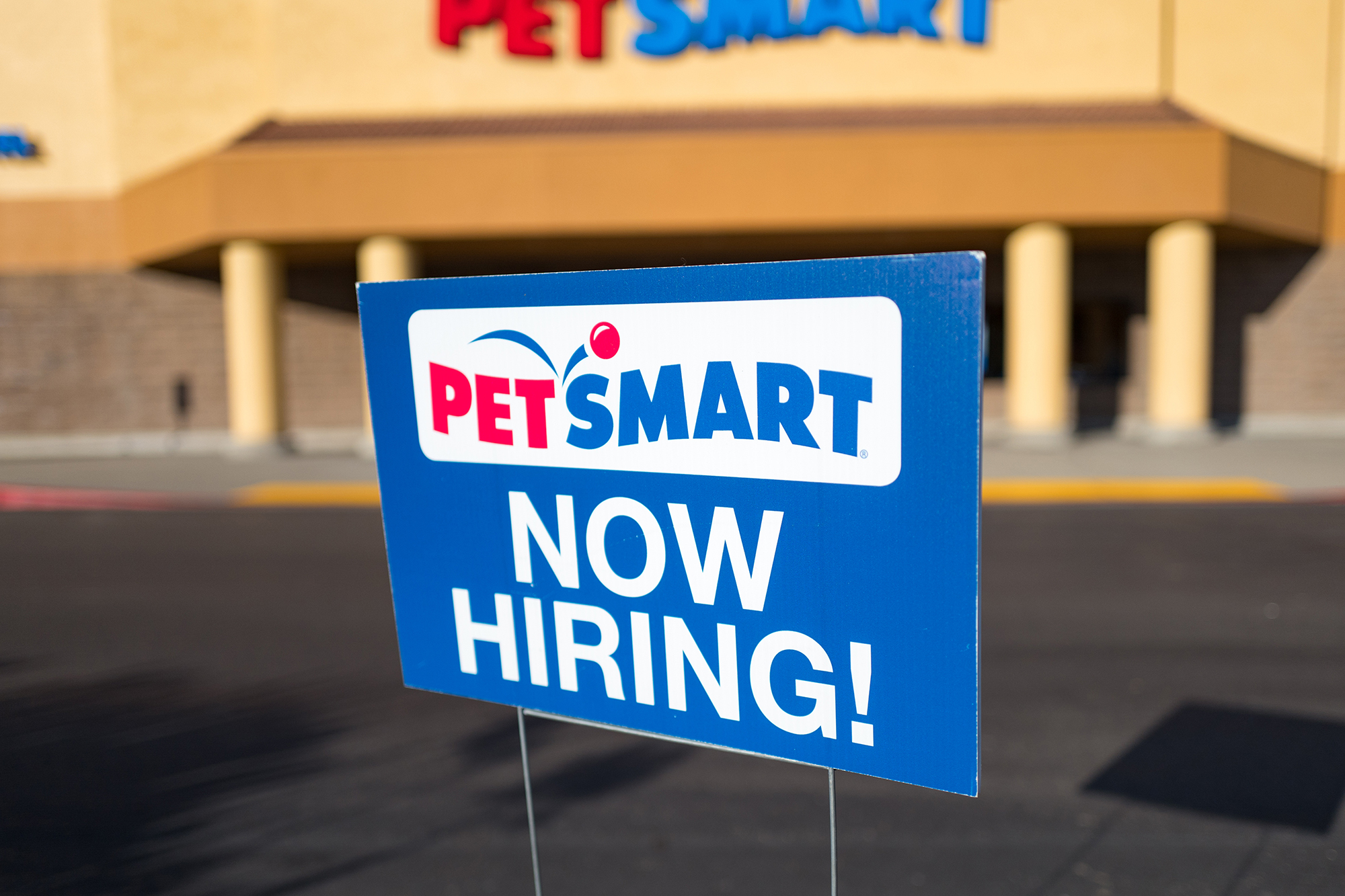 is petsmart hiring in my area